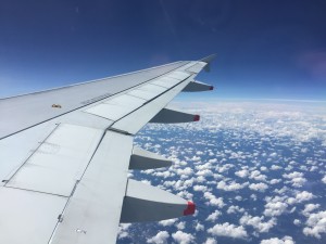 BA A318 Wing