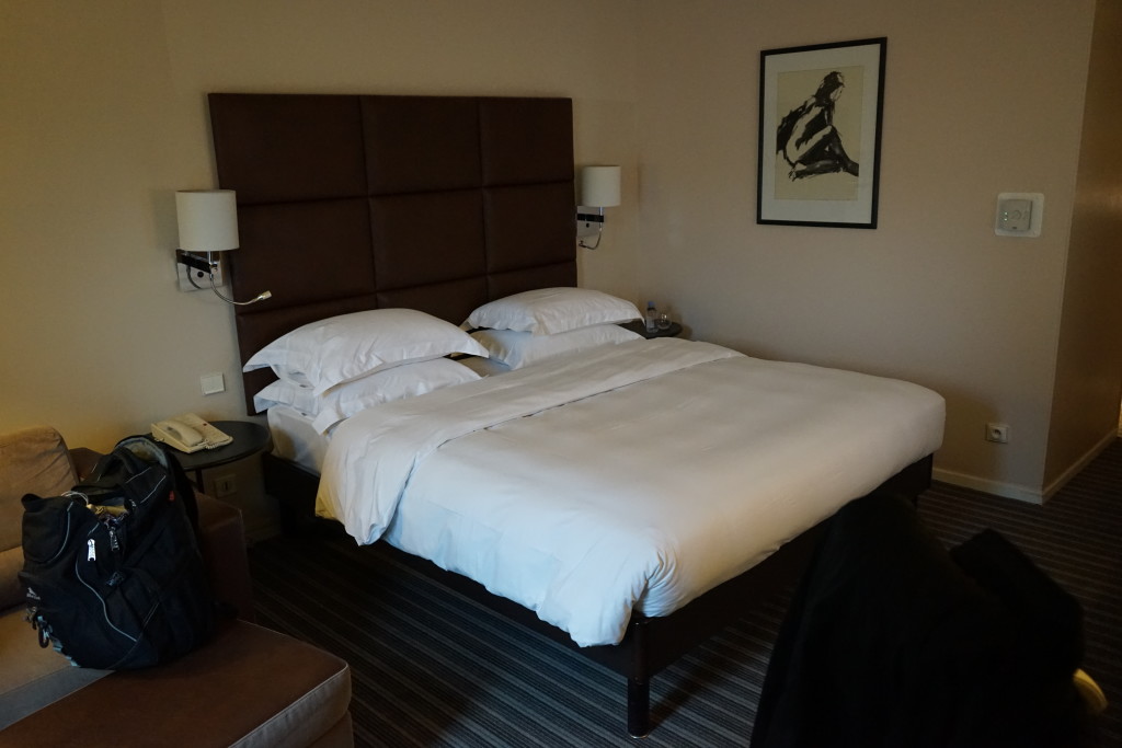 Hyatt Charles De Gaulle