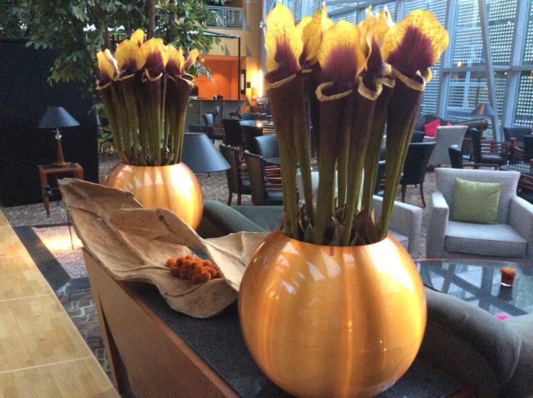 two vases of flowers in a room