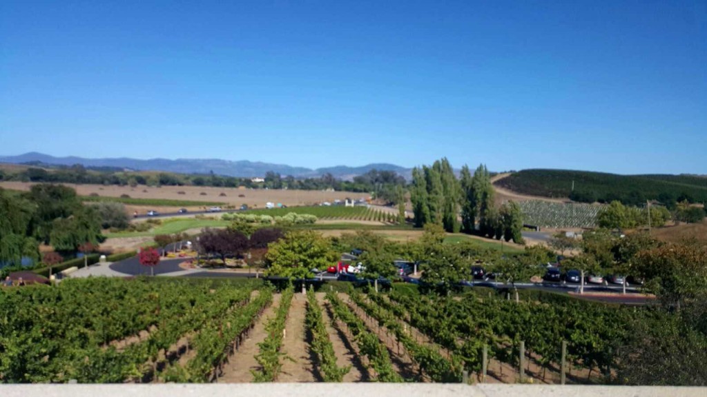 Napa Valley