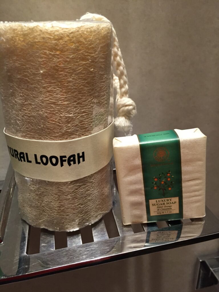 park hyatt hyderabad shower amenities 2