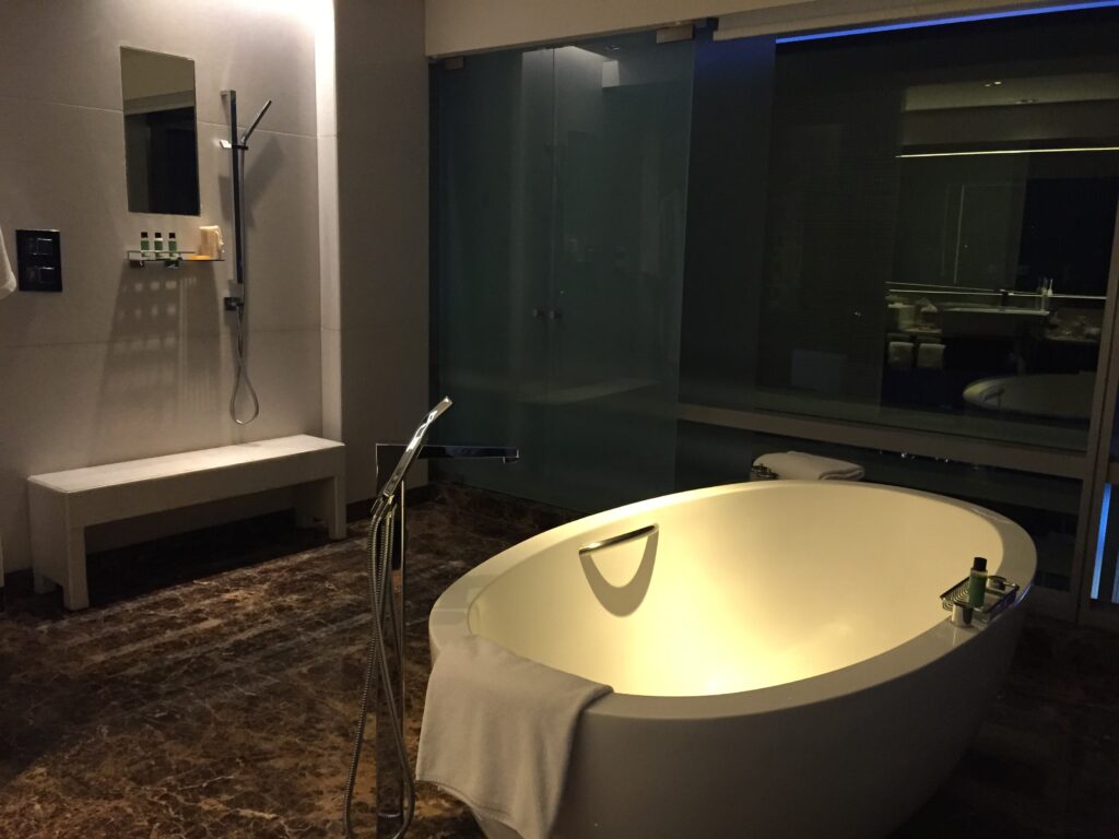 park hyatt hyderabad shower and tub