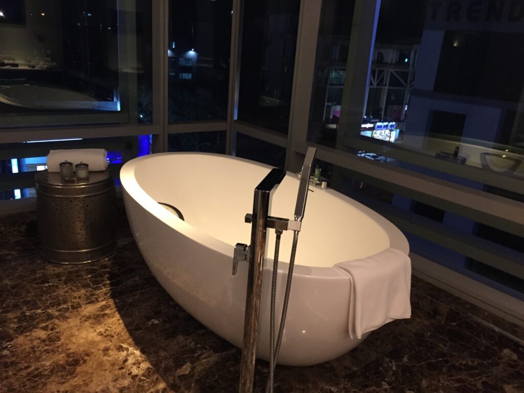 park hyatt hyderabad tub