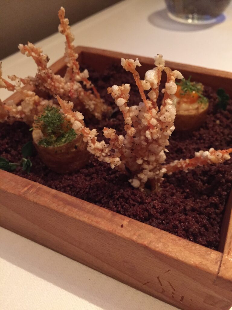 restaurant andre singapore edible garden