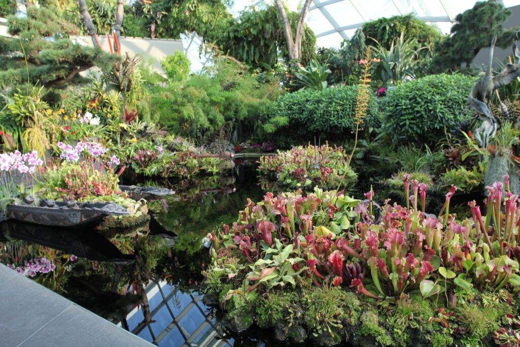 singapore gardens by the bay entrance