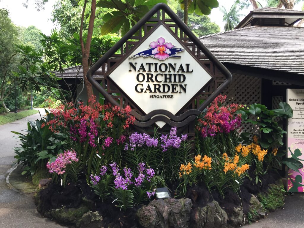 singapore national orchid garden