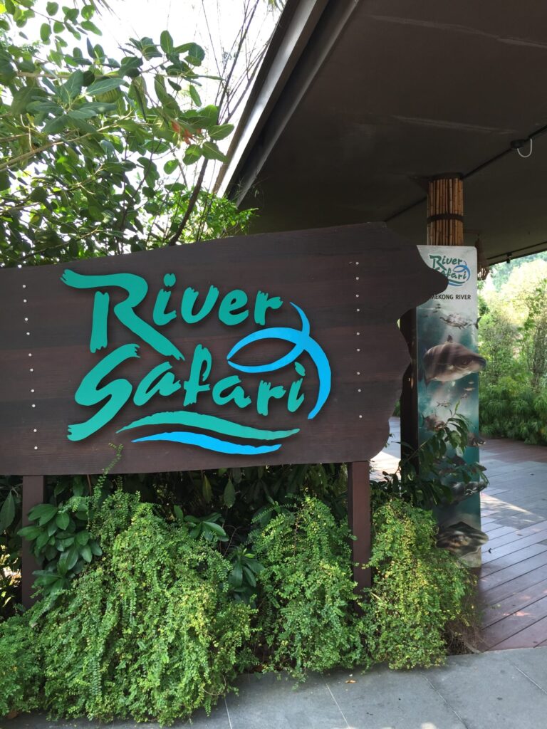 Dining Review: Sanaa at Disney’s Animal Kingdom Lodge