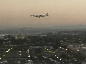 IMG_2260