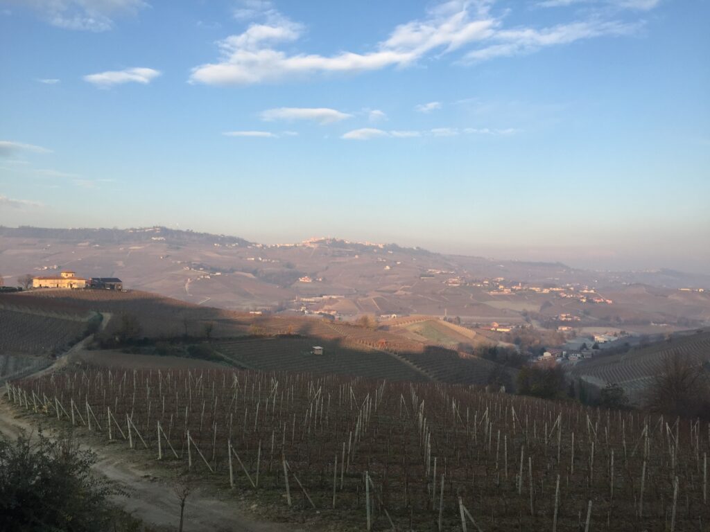 casa sobrero castiglione faletto view
