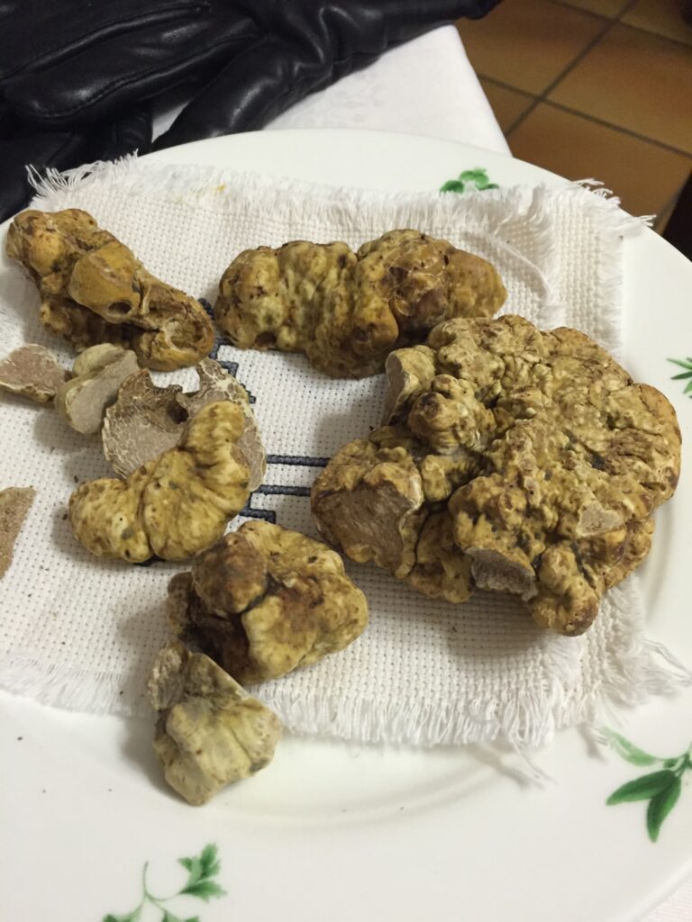 le torri hotel restaurant castiglione faletto white truffles