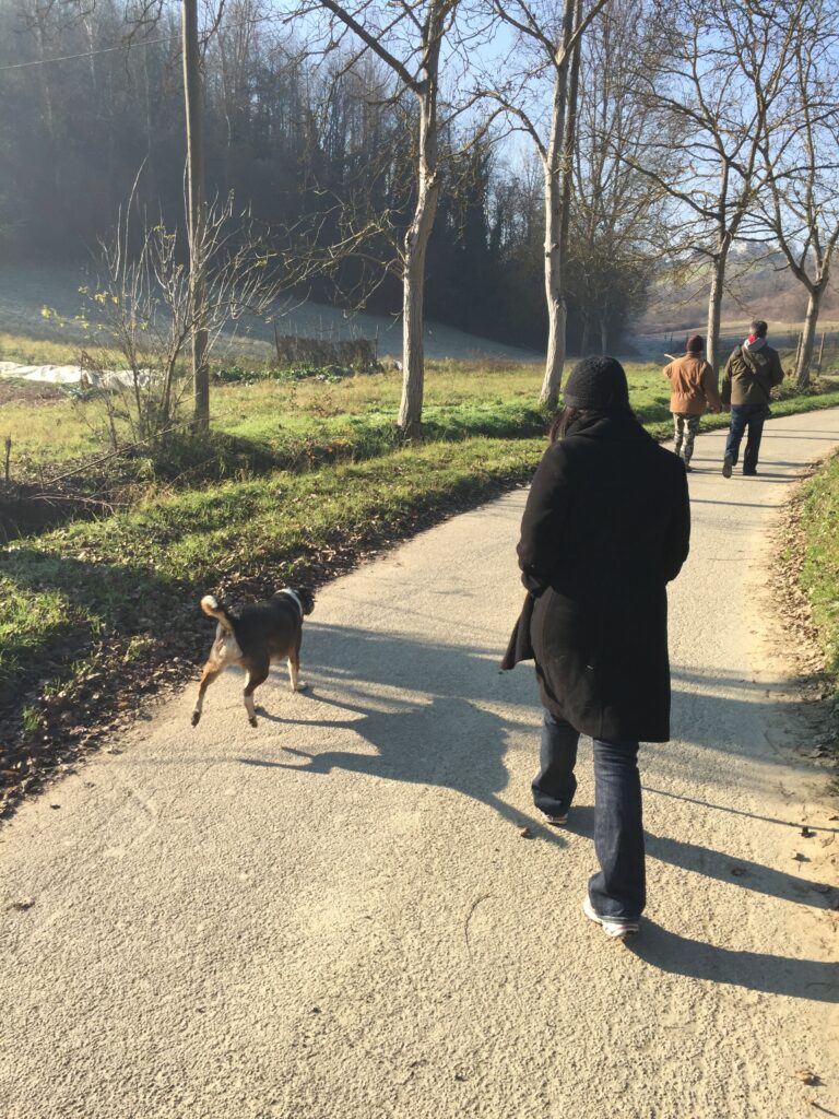 piedmont food & wine tour truffle hunting