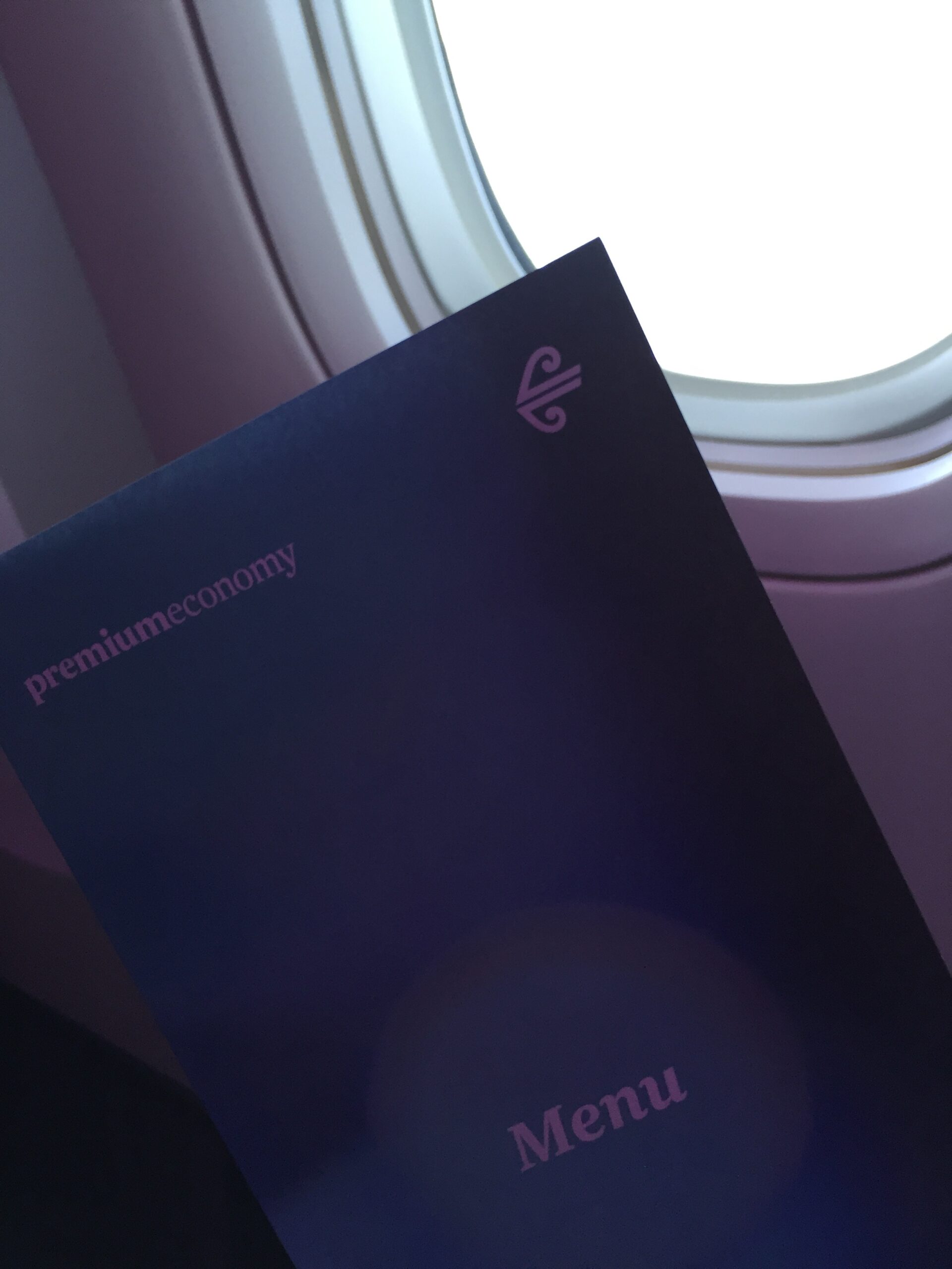 a book on a plane