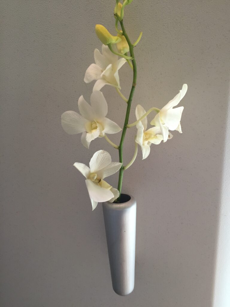 cathay pacific first class hong kong to new york orchid flower