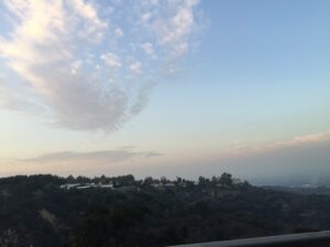 IMG_0705
