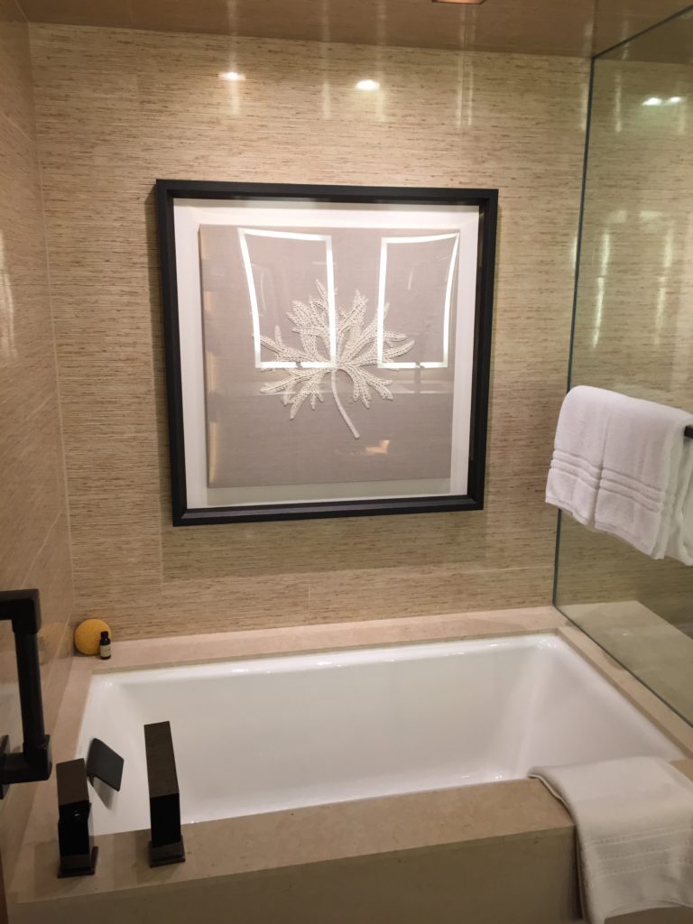four seasons lanai bathtub