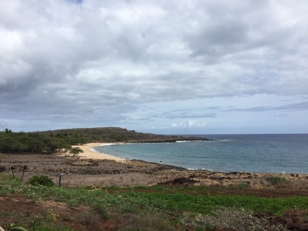 four seasons lanai beach view