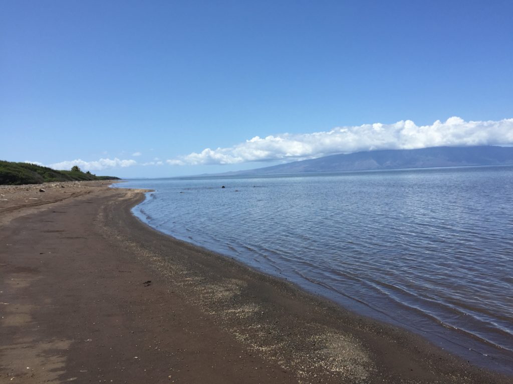 four seasons lanai black sand beach