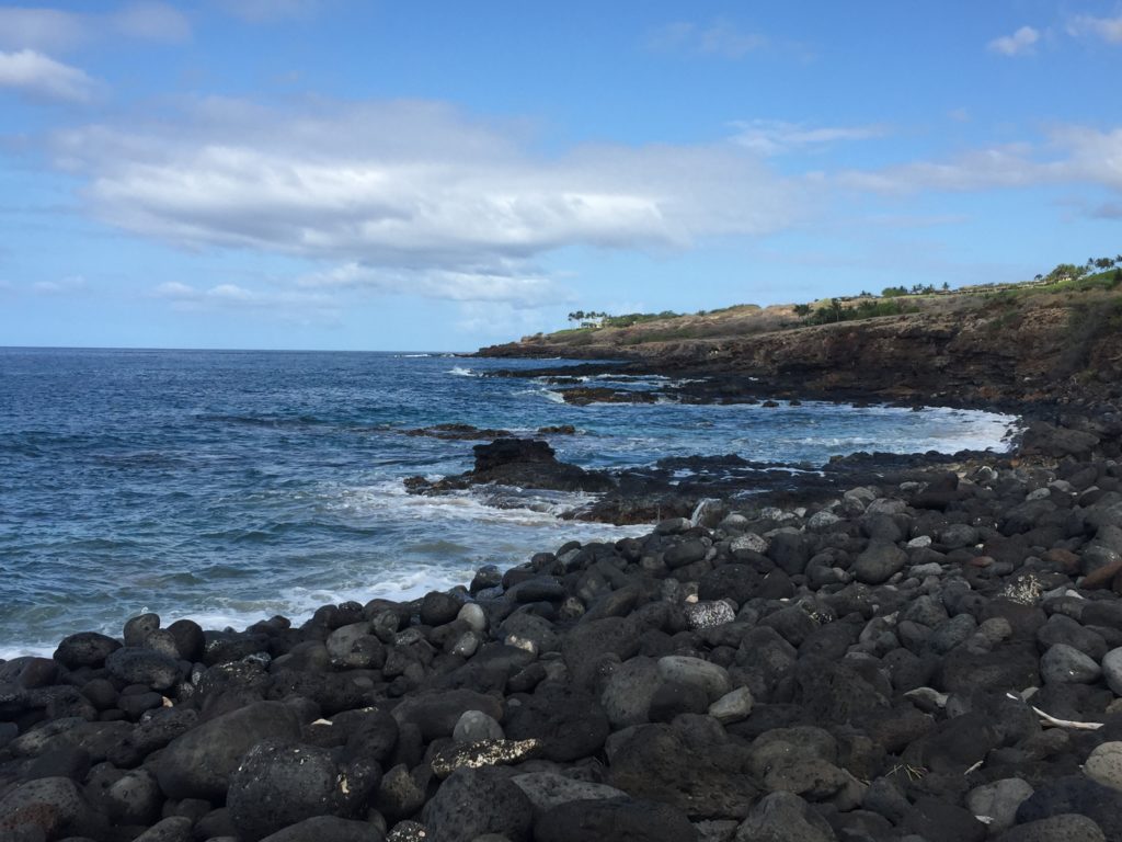 four seasons lanai fishermans trail