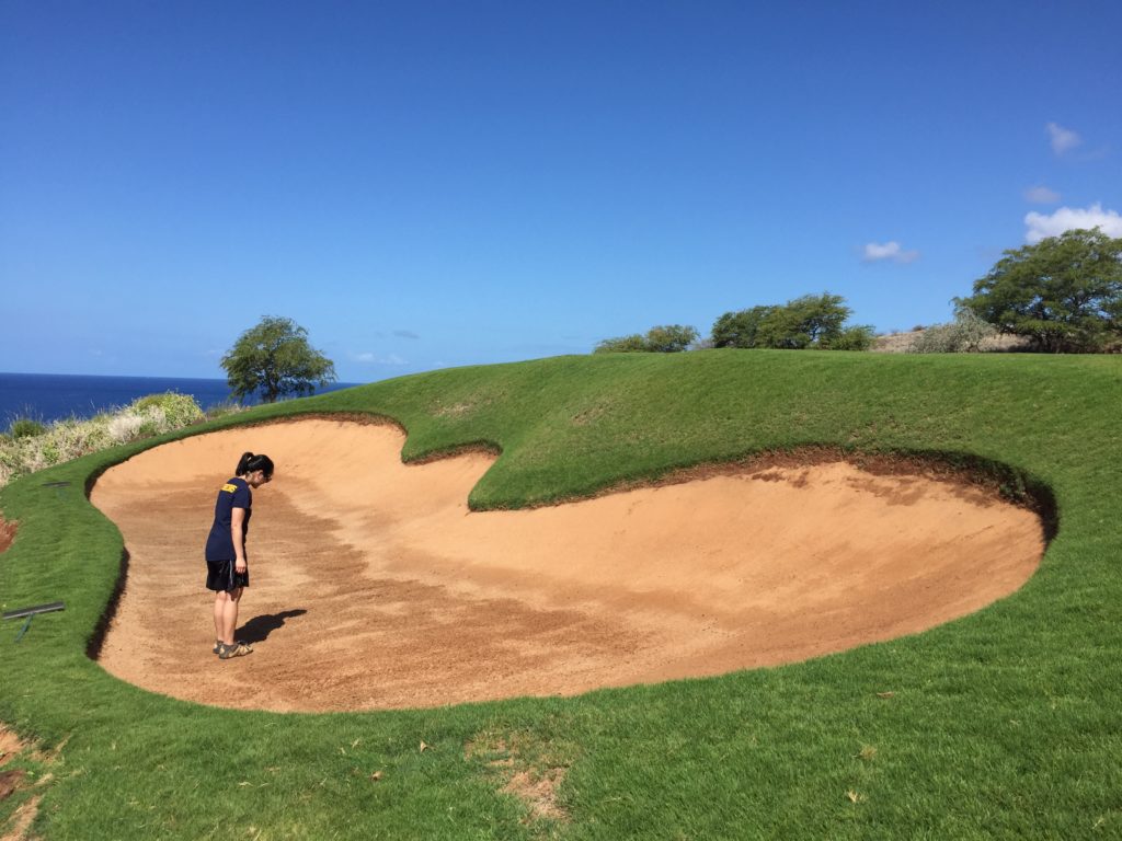 four seasons lanai golf course