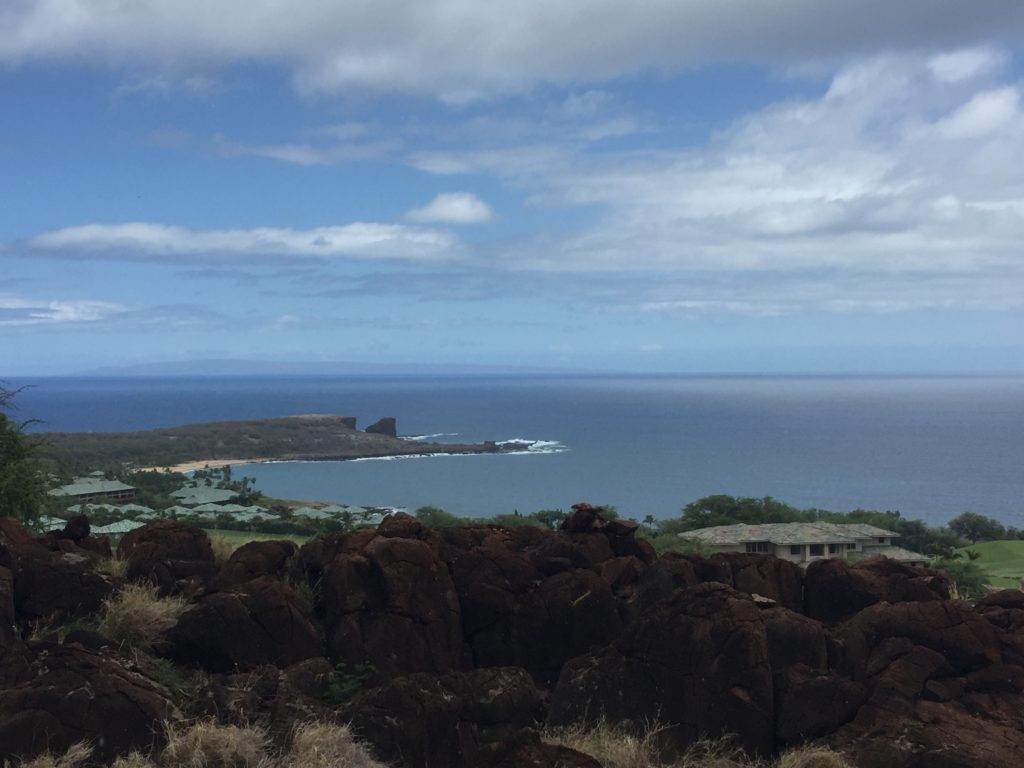 four seasons lanai lunch view