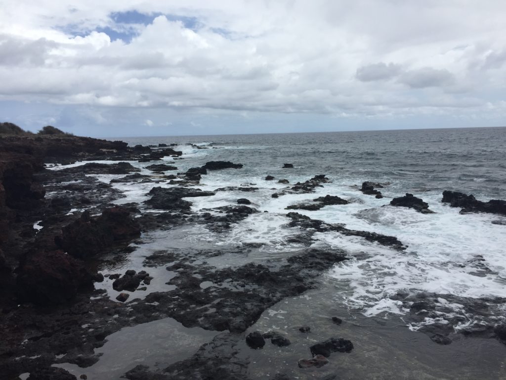 four seasons lanai tidepools