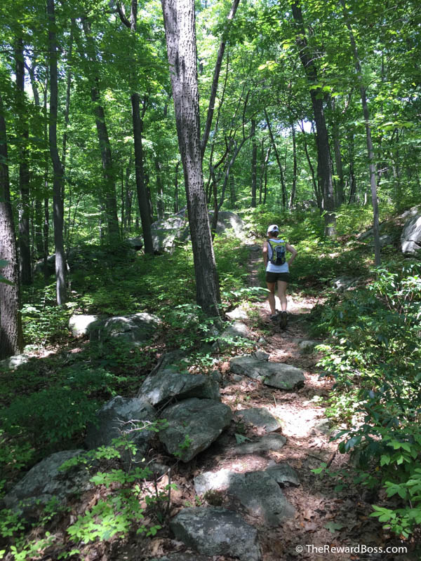 Hiking Mt. Misery/Rattlesnake Hill/Black Rock Mountain Hiking Near New York