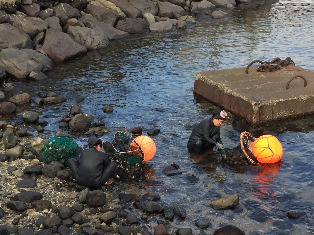 jeju-island-woman-abalone-divers