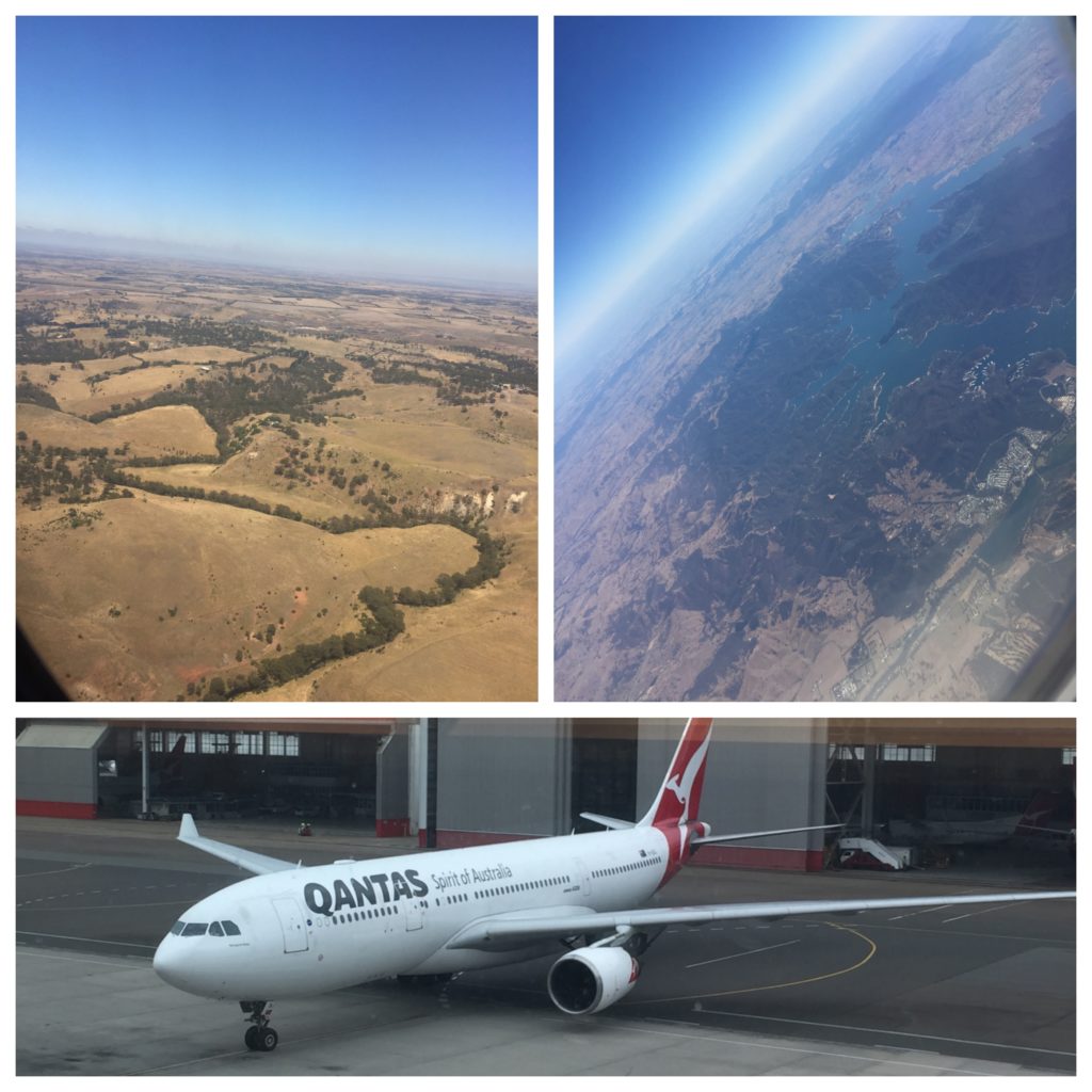 Collage_Fotor QF A330 5