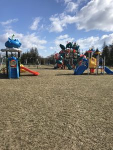 Hotel Golebiewski Playground