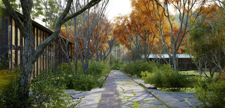 A serene outdoor scene featuring a stone pathway lined with trees and lush greenery. The trees have autumn-colored leaves, creating a warm and inviting atmosphere. On either side of the pathway, there are modern wooden buildings partially visible through the foliage. The overall setting appears to be a peaceful, nature-filled retreat.