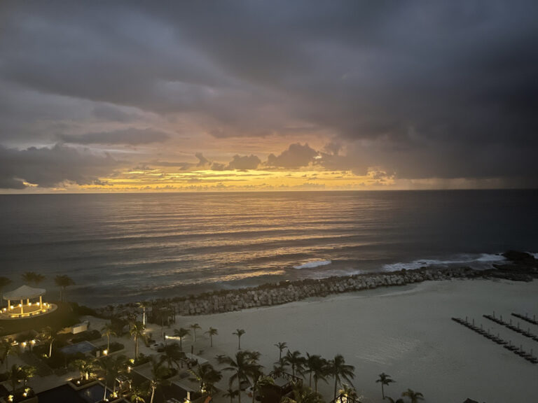 a beach with palm trees and a body of water